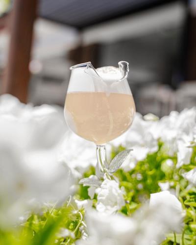 Bebidas en HOTEL 1+1 di C.Costabile & f.lli