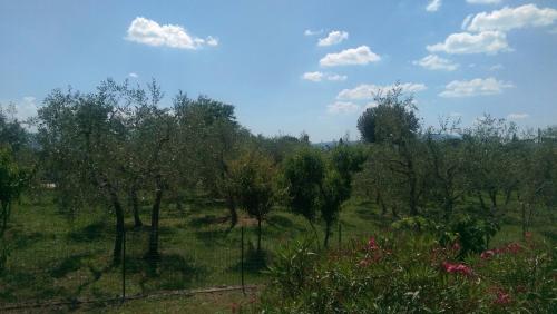 un champ planté d'arbres et d'herbes avec des nuages dans le ciel dans l'établissement Villa Monnalisa, à Pian di Scò