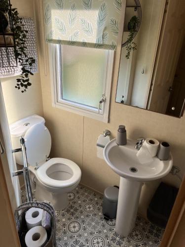 a bathroom with a toilet and a sink and a mirror at Hornshole Hideaway Caravan Hawick in Hawick