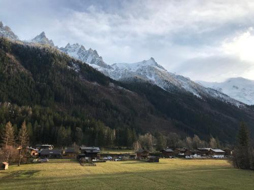 Appartement avec vue Mont-Blanc - 4 pers.