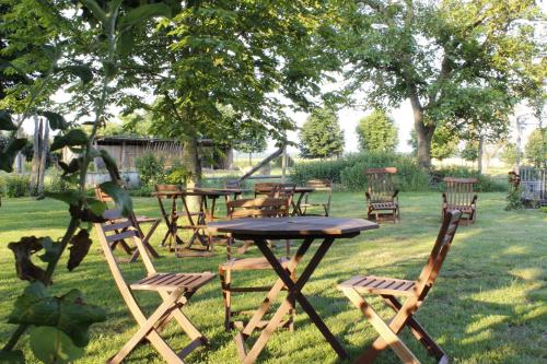 a group of tables and chairs in the grass at Damwildhof Fewo zur Linde in Blievenstorf