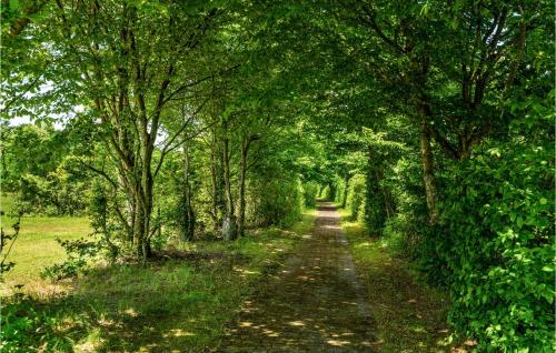 a dirt road with trees on both sides at Gorgeous Home In Hampen With Wifi in Hampen