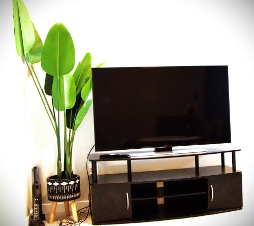 a flat screen tv on a stand with a plant at Like cozy place in Calgary