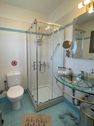 a bathroom with a shower and a toilet and a sink at Elatos Sea House in Kato Gatzea