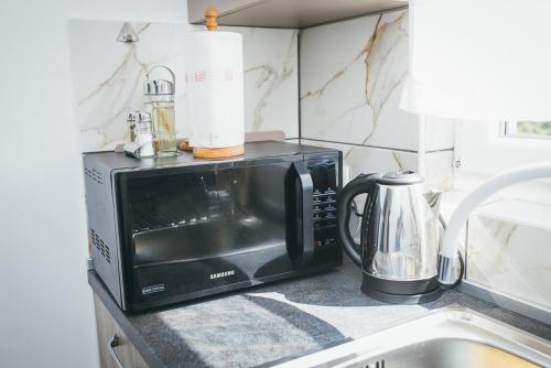 a microwave sitting on top of a kitchen counter at Kuća za odmor Suha gora in Vrhovac