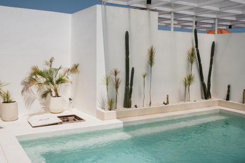 a swimming pool with potted plants on a wall at Gisela Villa With Private Pool in Buleleng