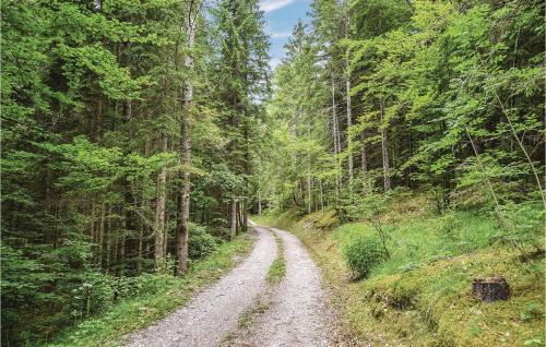 a dirt road in the middle of a forest at Casa Cuc 4 in Lauco