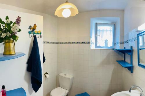 une salle de bain bleue et blanche avec des toilettes et un lavabo dans l'établissement Casa con piscina e giardino, à Saint-André-de-Roquepertuis