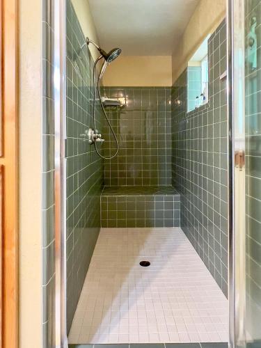 a bathroom with a shower with green tiles at Anderson's Alpine Retreat- Pinecrest, CA Dodge Ski in Cold Springs