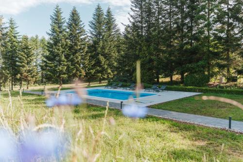 Leśny Apartament - Shuuumi Las