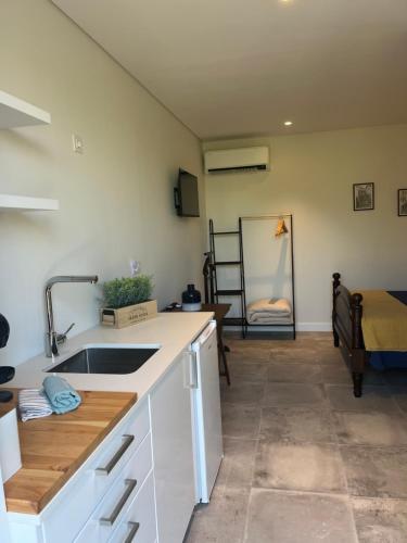 a kitchen with a sink and a couch in a room at Douro House 222 in Castelo de Paiva