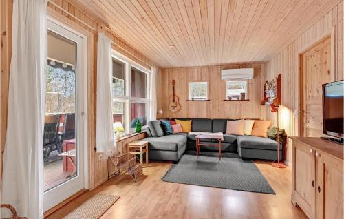 a living room with a couch and a tv at Pet Friendly Home In Fårvang With Wifi in Fårvang
