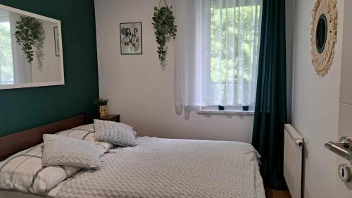 Apartament Zielony 310