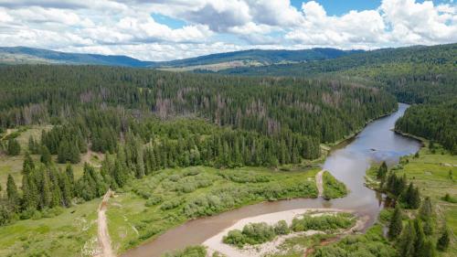 an aerial view of a river in a forest at Pensiunea Eden Garden Smida in Smida