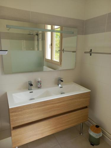 a bathroom with a sink and a mirror at La Clef du Bonheur Maison de vacances entre Loire et Vignobles in Herry