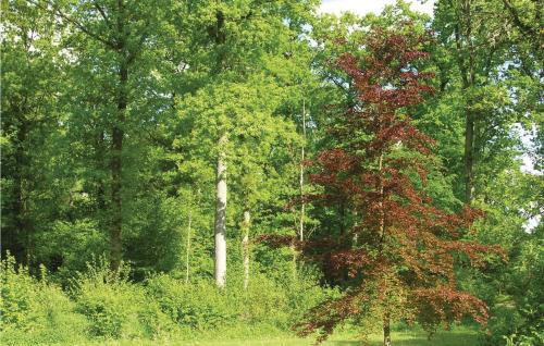 a tree with red leaves in the middle of a forest at Holiday Home Brænderupvængevej in Gudme