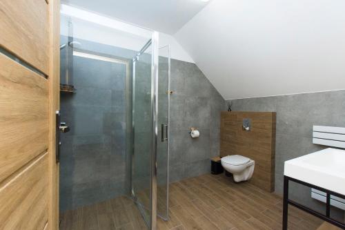 a bathroom with a shower and a toilet at Wiślany Zakątek in Gdańsk