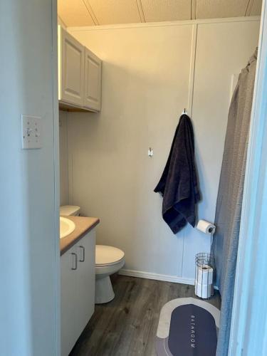 a small bathroom with a toilet and a sink at Trout House at Red-Bow in Sterling
