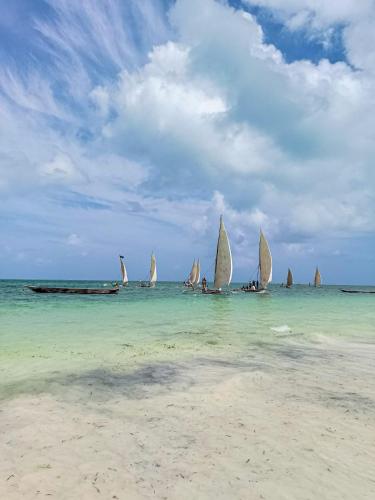 Tropical Beach Studios