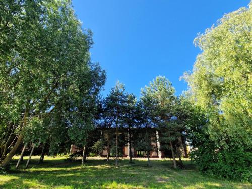 a group of trees in a field with a building at AMBER LOFT 19 Rusnė Harbour in Rusnė