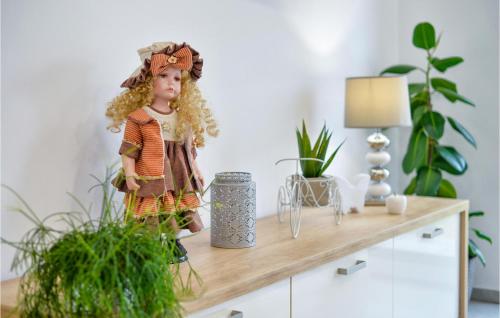 a doll standing on top of a wooden shelf with plants at Pet Friendly Home In Vinica Breg in Gorušenjak