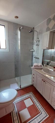 a bathroom with a shower and a toilet and a sink at Résidence Villa Nova in Tiuccia