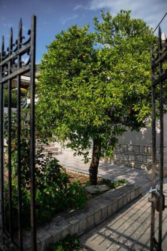 a gate with a tree in front of a fence at Betty's 4 Seasons in Agria in Agria