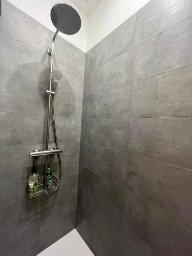 La salle de bains est pourvue d'une douche et d'un mur gris. dans l'établissement L'Oustalet des Alpilles, à Saint-Rémy-de-Provence