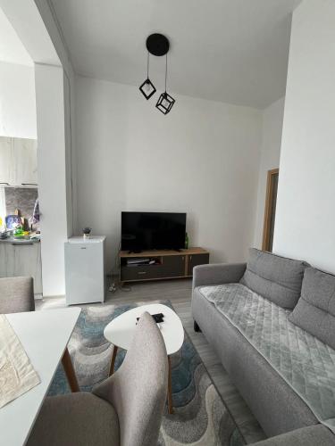 Μια τηλεόραση ή/και κέντρο ψυχαγωγίας στο Apartman sm