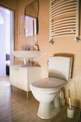 a bathroom with a toilet and a sink at Agroturystyka "U Źródła" in Milicz