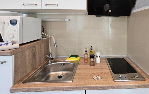 Cozy Apartment In Rovinj With Wifi