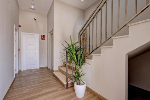Palm Suites photo 60