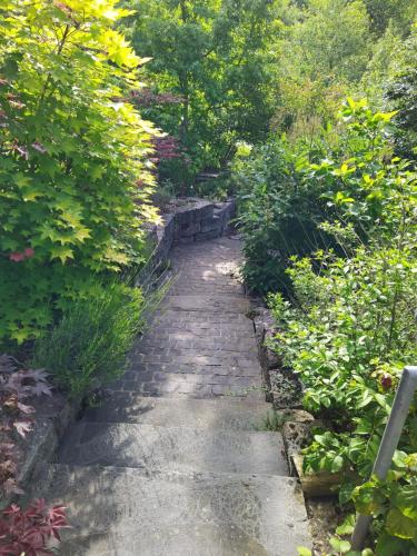 a stone path in the middle of a garden at Entspannen im Grünen, Ferienwohnung mit eigenem Garten in Keilberg