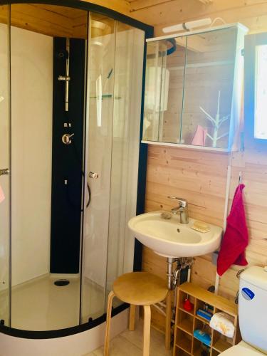 une salle de bain avec lavabo et douche dans l'établissement Tiny House am See, à Casel