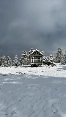 a small cabin in the snow with trees in the background at Cozy Cabins with a mountain view 2A in Williams