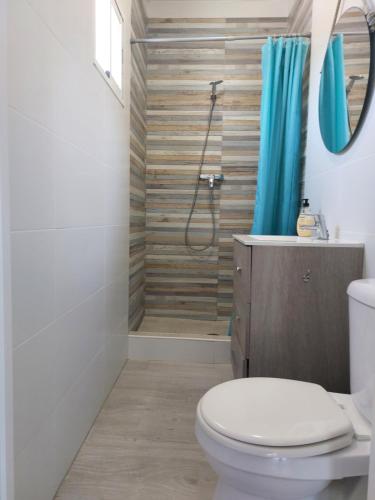 a bathroom with a toilet and a shower at La casita de Valeria in El Palmar