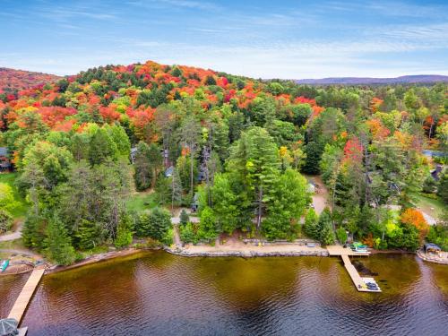 an aerial view of a lake with trees and a bridge at Muskoka Waterfront Retreat in Dwight