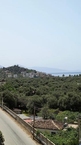 a view of a road and a hill with trees at Polyxeni Apartments & Rooms in Qeparo