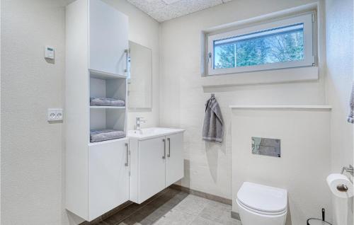 a white bathroom with a toilet and a window at Beautiful Home In Varde With Kitchen in Varde