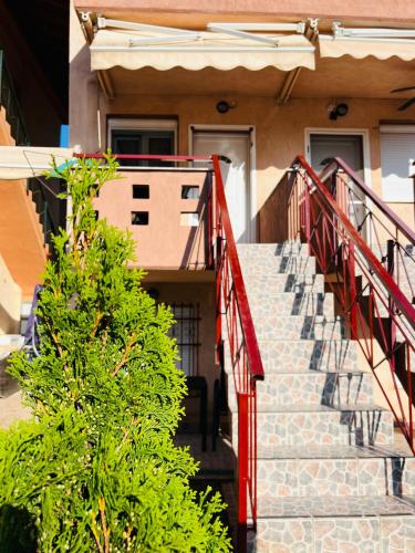 Carpe Diem Apartments