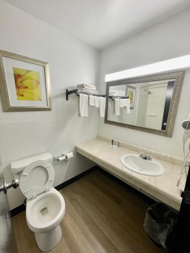 a bathroom with a toilet and a sink and a mirror at Days Inn by Wyndham Erie in Erie