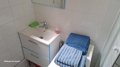 La salle de bains est pourvue d'un lavabo et d'une serviette bleue. dans l'établissement Appartement proche du moulin rouge et de la gare Saint Lazare et des grands magasins galeries Lafayette, à Paris