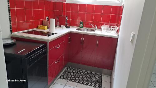 - une cuisine rouge avec évier et cuisinière dans l'établissement Appartement proche du moulin rouge et de la gare Saint Lazare et des grands magasins galeries Lafayette, à Paris