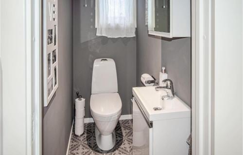 a small bathroom with a toilet and a sink at Nice Home In Sandefjord With Wifi in Sandefjord