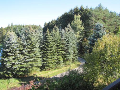 Afbeelding uit fotogalerij van Gästehaus Rehwinkel in Allenbach