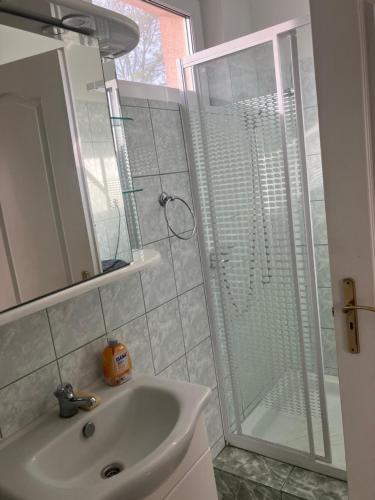 a bathroom with a sink and a shower with a glass door at Tőserdei Vendégház in Lakitelek