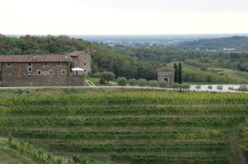 a vineyard in front of an old building and a field at Agriturismo Ronchi Di Sant'Egidio in Manzano