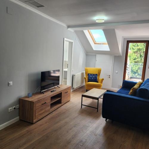 TV a/nebo společenská místnost v ubytování City Center Apartment -M