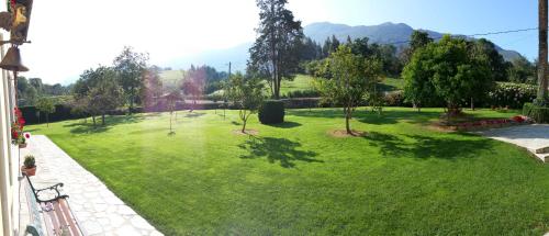 a green yard with trees and mountains in the background at Casa de Aldea El Frade in Ribadesella