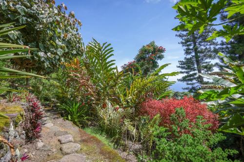 a garden with colorful flowers and plants at Hale Mauka in Captain Cook
